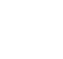 icon icon